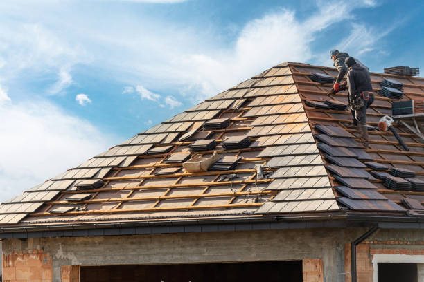 Best Roof Maintenance and Cleaning  in Quitman, TX