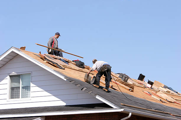 Best Roof Leak Repair  in Quitman, TX